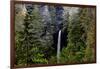 USA, Oregon, Silver Falls State Park, North Falls-Joe Restuccia III-Framed Photographic Print