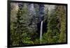 USA, Oregon, Silver Falls State Park, North Falls-Joe Restuccia III-Framed Photographic Print