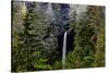 USA, Oregon, Silver Falls State Park, North Falls-Joe Restuccia III-Stretched Canvas