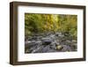 USA, Oregon, Silver Falls State Park. River rapids and forest in autumn.-Jaynes Gallery-Framed Photographic Print