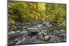 USA, Oregon, Silver Falls State Park. River rapids and forest in autumn.-Jaynes Gallery-Mounted Photographic Print