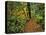 USA, Oregon, Silver Falls State Park. Scenic Park Trail-Steve Terrill-Stretched Canvas