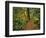 USA, Oregon, Silver Falls State Park. Scenic Park Trail-Steve Terrill-Framed Photographic Print