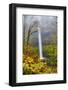 USA, Oregon, Silver Falls State Park, South Falls-Hollice Looney-Framed Photographic Print