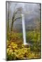 USA, Oregon, Silver Falls State Park, South Falls-Hollice Looney-Mounted Photographic Print