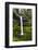 USA, Oregon, Silver Falls State Park, South Falls-Joe Restuccia III-Framed Photographic Print