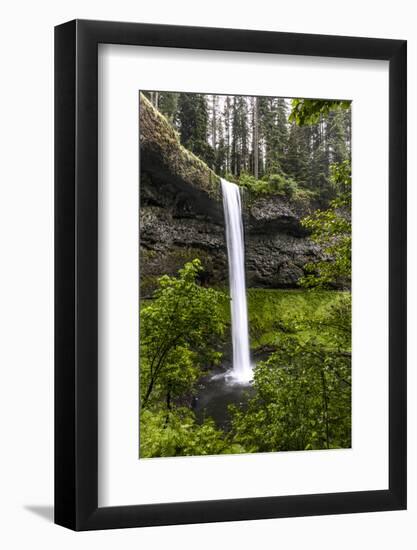 USA, Oregon, Silver Falls State Park, South Falls-Joe Restuccia III-Framed Photographic Print