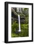 USA, Oregon, Silver Falls State Park, South Falls-Joe Restuccia III-Framed Photographic Print