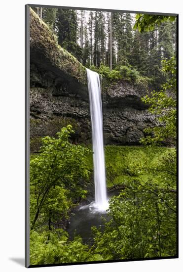 USA, Oregon, Silver Falls State Park, South Falls-Joe Restuccia III-Mounted Photographic Print