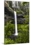 USA, Oregon, Silver Falls State Park, South Falls-Joe Restuccia III-Mounted Photographic Print