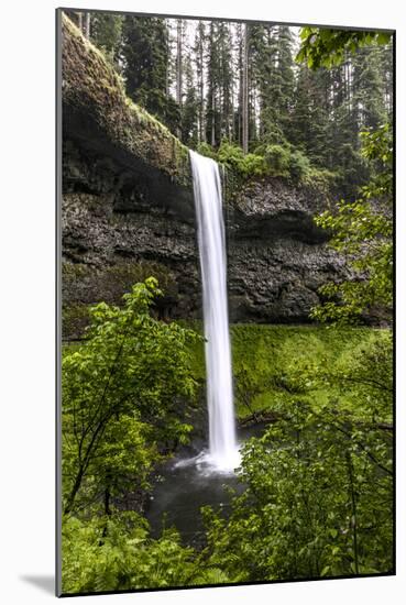 USA, Oregon, Silver Falls State Park, South Falls-Joe Restuccia III-Mounted Photographic Print