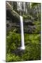 USA, Oregon, Silver Falls State Park, South Falls-Joe Restuccia III-Mounted Photographic Print