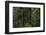 USA, Oregon, Silver Falls State Park-Joe Restuccia III-Framed Photographic Print