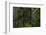 USA, Oregon, Silver Falls State Park-Joe Restuccia III-Framed Photographic Print