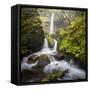 USA, Oregon. Spring view of McCord Creek flowing below Elowah Falls in the Columbia River Gorge.-Gary Luhm-Framed Stretched Canvas