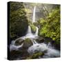 USA, Oregon. Spring view of McCord Creek flowing below Elowah Falls in the Columbia River Gorge.-Gary Luhm-Stretched Canvas