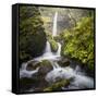 USA, Oregon. Spring view of McCord Creek flowing below Elowah Falls in the Columbia River Gorge.-Gary Luhm-Framed Stretched Canvas