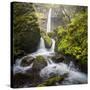 USA, Oregon. Spring view of McCord Creek flowing below Elowah Falls in the Columbia River Gorge.-Gary Luhm-Stretched Canvas