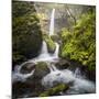 USA, Oregon. Spring view of McCord Creek flowing below Elowah Falls in the Columbia River Gorge.-Gary Luhm-Mounted Photographic Print