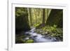 USA, Oregon. Spring view of Ruckle Creek in the Columbia River Gorge.-Gary Luhm-Framed Photographic Print