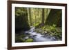 USA, Oregon. Spring view of Ruckle Creek in the Columbia River Gorge.-Gary Luhm-Framed Photographic Print