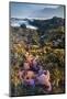 USA, Oregon. Starfish and Sea Stars at Low Morning Tide-Jaynes Gallery-Mounted Photographic Print