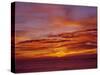 USA, Oregon. Sunset over the Pacific Ocean from Cape Perpetua.-Steve Terrill-Stretched Canvas