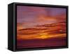 USA, Oregon. Sunset over the Pacific Ocean from Cape Perpetua.-Steve Terrill-Framed Stretched Canvas