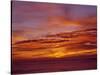 USA, Oregon. Sunset over the Pacific Ocean from Cape Perpetua.-Steve Terrill-Stretched Canvas