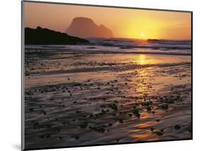 USA, Oregon. Sunset, tide-washed sand and Three Arch Rocks, near Oceanside.-John Barger-Mounted Photographic Print