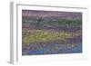 USA, Oregon, Tahkenitch Lake. Abstract of Duck Weed on Lake-Don Paulson-Framed Photographic Print