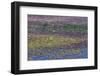 USA, Oregon, Tahkenitch Lake. Abstract of Duck Weed on Lake-Don Paulson-Framed Photographic Print