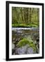 USA, Oregon, Tillamook State Forest. Scenic of Wilson River-Jaynes Gallery-Framed Photographic Print