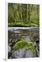 USA, Oregon, Tillamook State Forest. Scenic of Wilson River-Jaynes Gallery-Framed Photographic Print