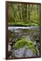 USA, Oregon, Tillamook State Forest. Scenic of Wilson River-Jaynes Gallery-Framed Photographic Print