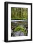 USA, Oregon, Tillamook State Forest. Scenic of Wilson River-Jaynes Gallery-Framed Photographic Print