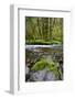 USA, Oregon, Tillamook State Forest. Scenic of Wilson River-Jaynes Gallery-Framed Photographic Print