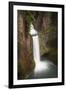 USA, Oregon. Toketee Falls flows over columnar basalt rock cliff.-Jaynes Gallery-Framed Premium Photographic Print