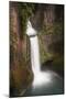 USA, Oregon. Toketee Falls flows over columnar basalt rock cliff.-Jaynes Gallery-Mounted Premium Photographic Print