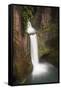 USA, Oregon. Toketee Falls flows over columnar basalt rock cliff.-Jaynes Gallery-Framed Stretched Canvas