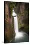 USA, Oregon. Toketee Falls flows over columnar basalt rock cliff.-Jaynes Gallery-Stretched Canvas