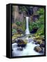 USA, Oregon, Toketee Waterfall and Basalt Formation-Jaynes Gallery-Framed Stretched Canvas