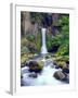 USA, Oregon, Toketee Waterfall and Basalt Formation-Jaynes Gallery-Framed Premium Photographic Print