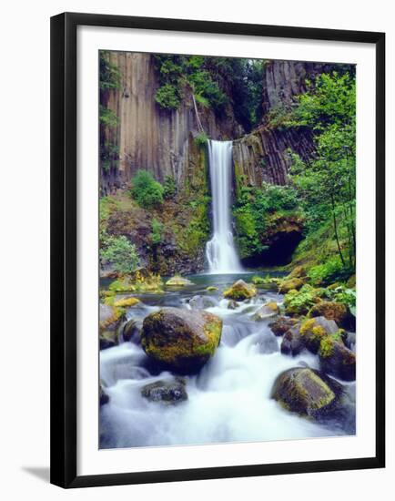 USA, Oregon, Toketee Waterfall and Basalt Formation-Jaynes Gallery-Framed Premium Photographic Print