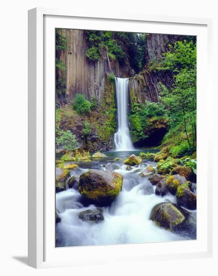 USA, Oregon, Toketee Waterfall and Basalt Formation-Jaynes Gallery-Framed Premium Photographic Print