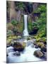 USA, Oregon, Toketee Waterfall and Basalt Formation-Jaynes Gallery-Mounted Premium Photographic Print