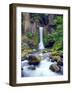 USA, Oregon, Toketee Waterfall and Basalt Formation-Jaynes Gallery-Framed Photographic Print