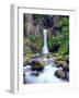 USA, Oregon, Toketee Waterfall and Basalt Formation-Jaynes Gallery-Framed Photographic Print