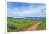 USA, Oregon. Tom McCall Nature Preserve, Rowena Plateau trail.-Rob Tilley-Framed Photographic Print