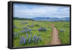 USA, Oregon. Tom McCall Nature Preserve, Rowena Plateau Trail.-Rob Tilley-Framed Photographic Print